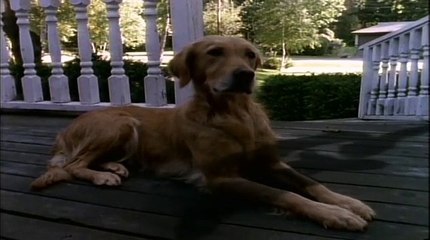 Goosebumps (1995) S2E11 Let's Get Invisible