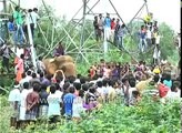 Elephant rescue goes awry - pachyderm dies during trans-location in India