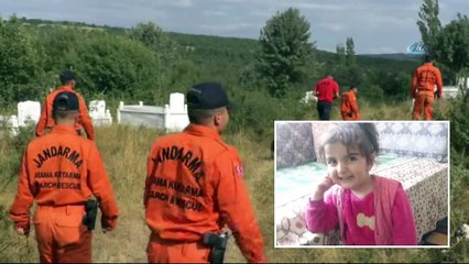 9 Gün Önce Yaylada Kaybolan Evim Atış'ı Kadavra Köpeği Mavi, Mezarlıkta Aradı