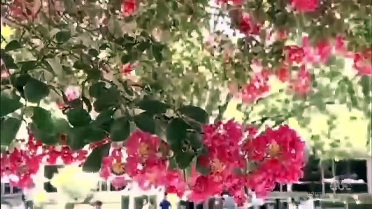 ABC 20 20 Love Hope And Faith