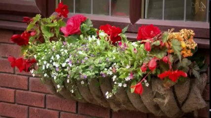 Sarah Beenys How To Sell Your Home S01  E05
