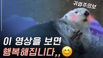 [뉴스토리] 퇴근길 힐링영상, 폭염주의보? 아니 귀염주의보!