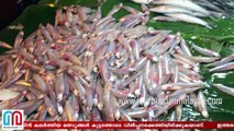 Again formalin fish in kerala