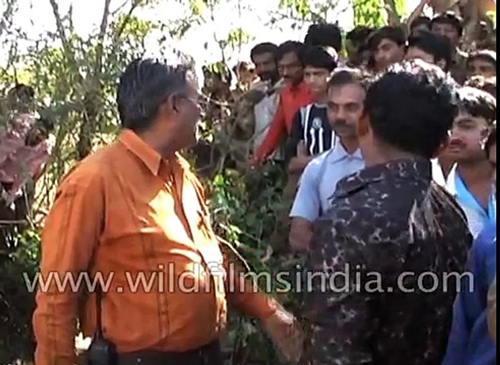 Foresters rescue leopard from open well in Juna...