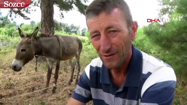 Köylüler ormanda işkence yapılmış halde buldu