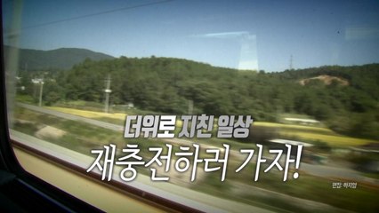 [통통영상] 더위로 지친 일상 떠나자 / YTN