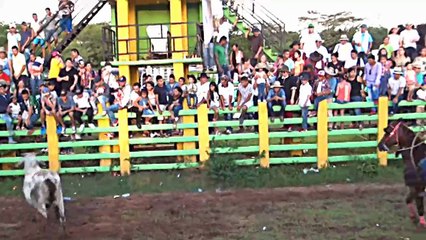 COLEO DE FIESTAS DE COLONIAS