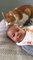 Therapy cat makes baby laugh while giving him a bath