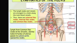 MASSAGE Lymphatic drainage - BODY DETOX
