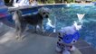 DCTC Puppy Dog Zumi Swimming with Toy Dog _ Little Tikes Swim To Me Puppy with DCTC Amy Jo and Zumi