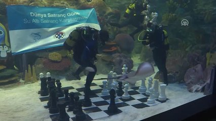 Dünya Satranç Günü Su Altında Kutlandı