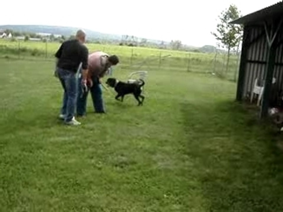 Rott