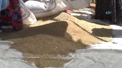 Kıtlık ve Kuraklığa 'Sorgül' ile Çözüm