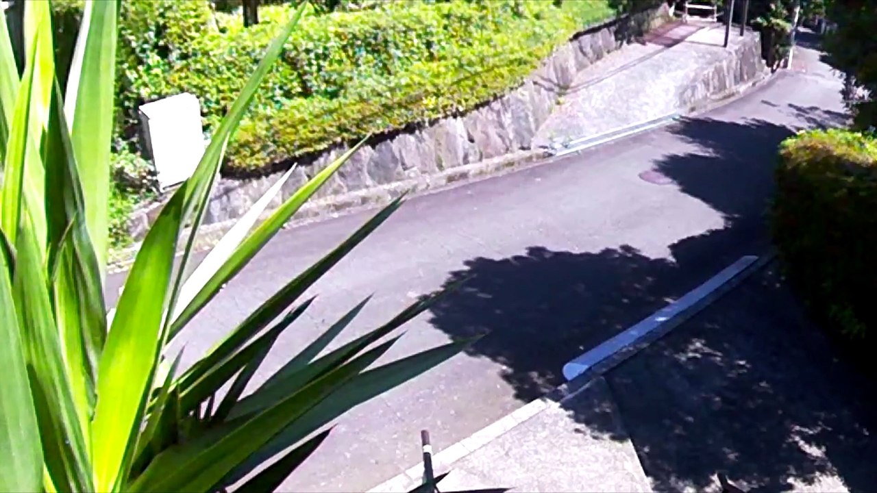 EDR July #20 2018 unfamiliar cars