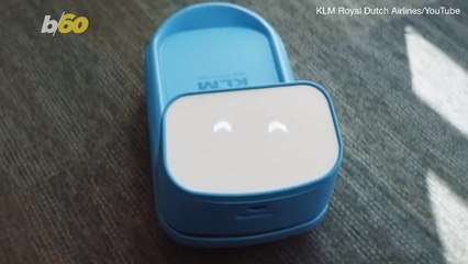 This Adorable Robot Will Carry Your Luggage And Keep You Company