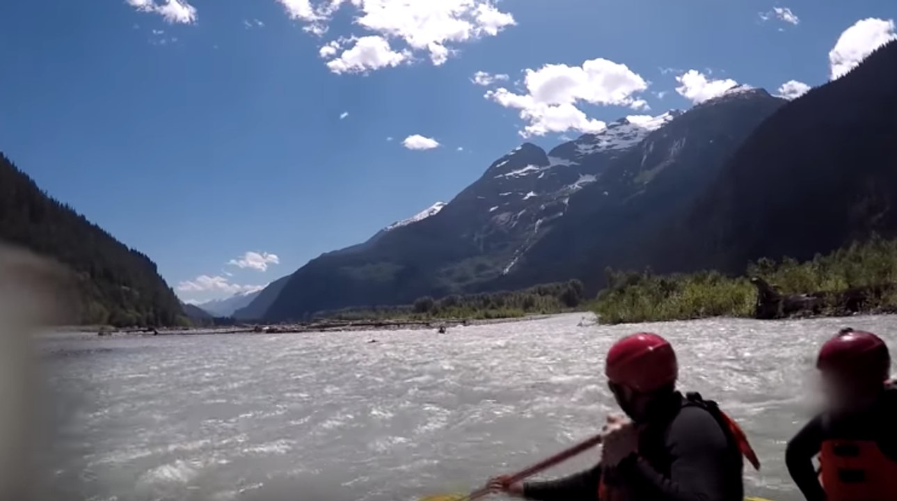 Un énorme grizzly attaque des kayakistes sur un fleuve