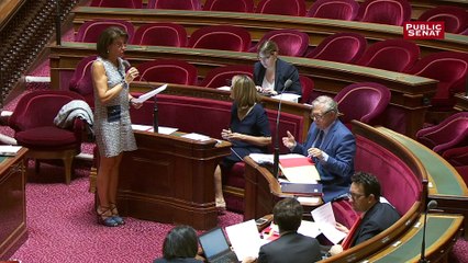 Ventes de HLM : Le Sénat permet au maire de mettre son veto