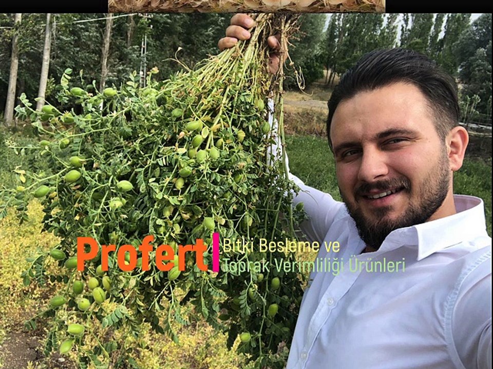 PROFERT OLARAK NOHUT EKİMİ NASIL YAPILIR? BİTKİ BESLEME ÜRÜN TERCİHİ