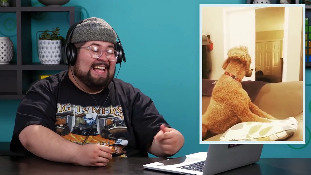 ADULTS REACT TO WHAT THE FLUFF CHALLENGE (Confusing your Pets Challenge