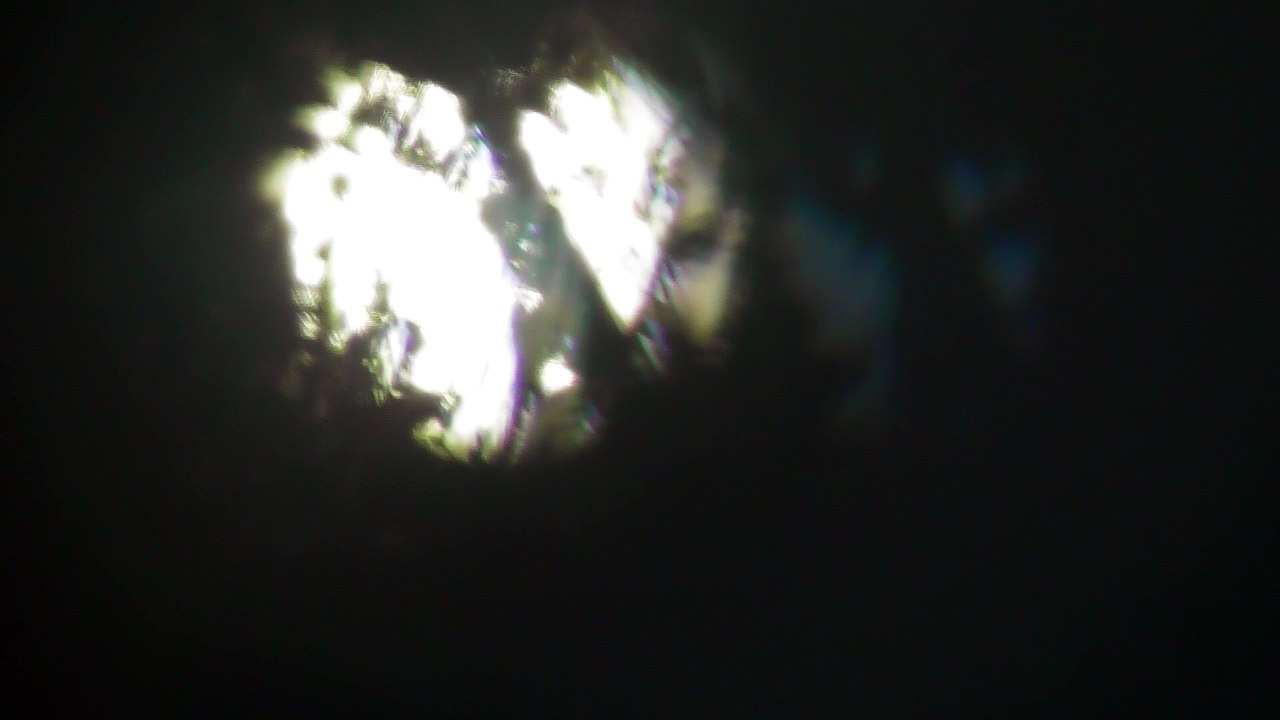 July 20 2018 DL7