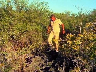 Bbc The Living Planet 10of12 Worlds Apart