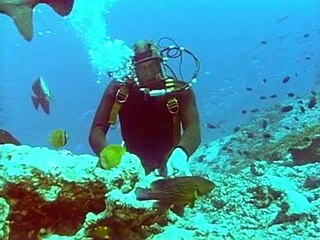 Bbc The Living Planet 11of12 The Open Ocean