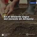 En el desierto negro del noreste de Jordania arqueólogos hallaron la evidencia más antigua de pan