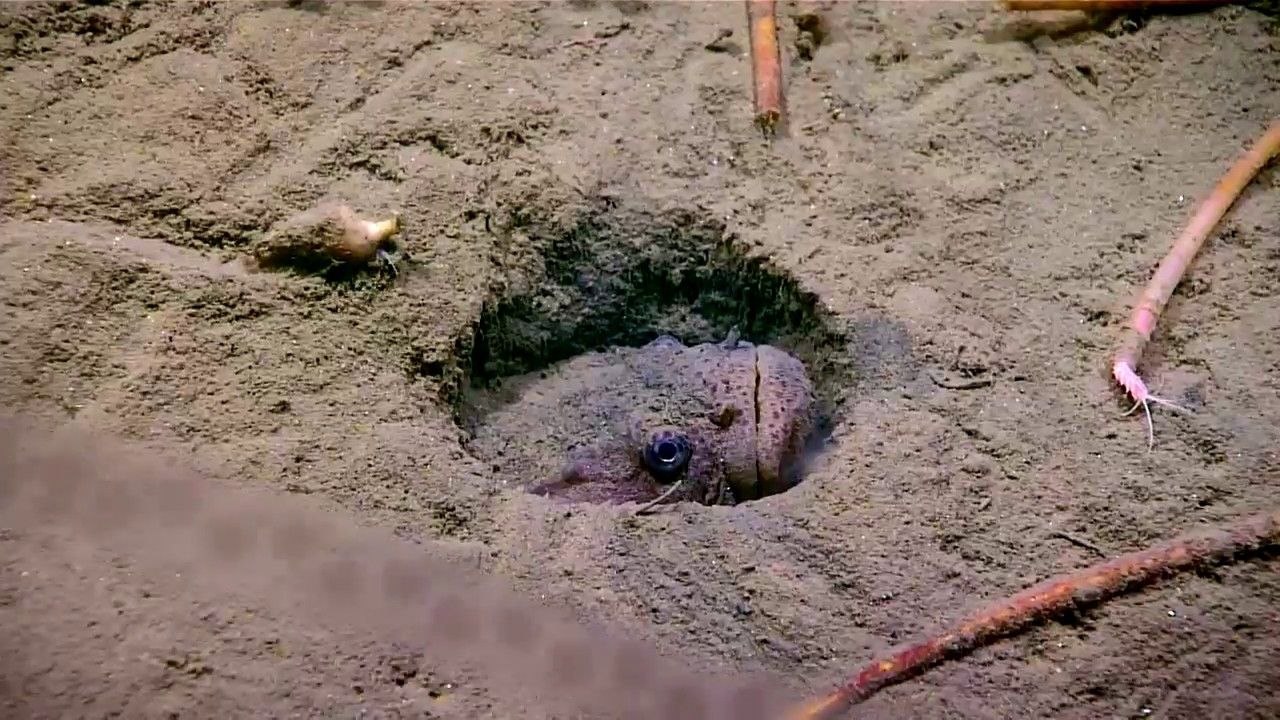 Au mauvais endroit, au mauvais moment