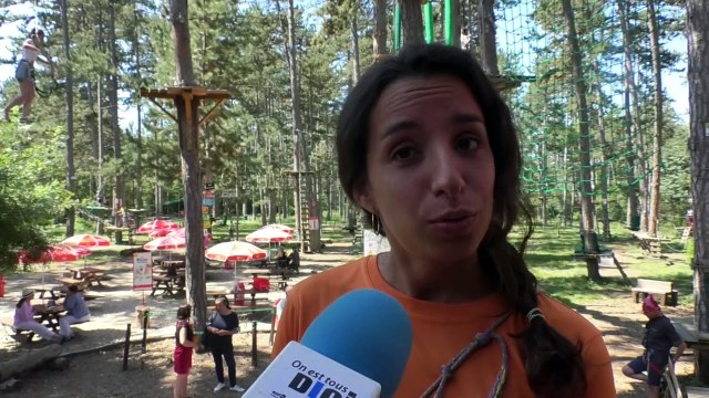 Alpes-de-Haute-Provence : grimpez aux arbres avec le parcours acrobatique Arbre et aventure