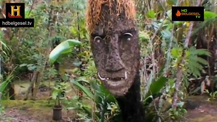 antk uzaylilar - kristal kafatasları