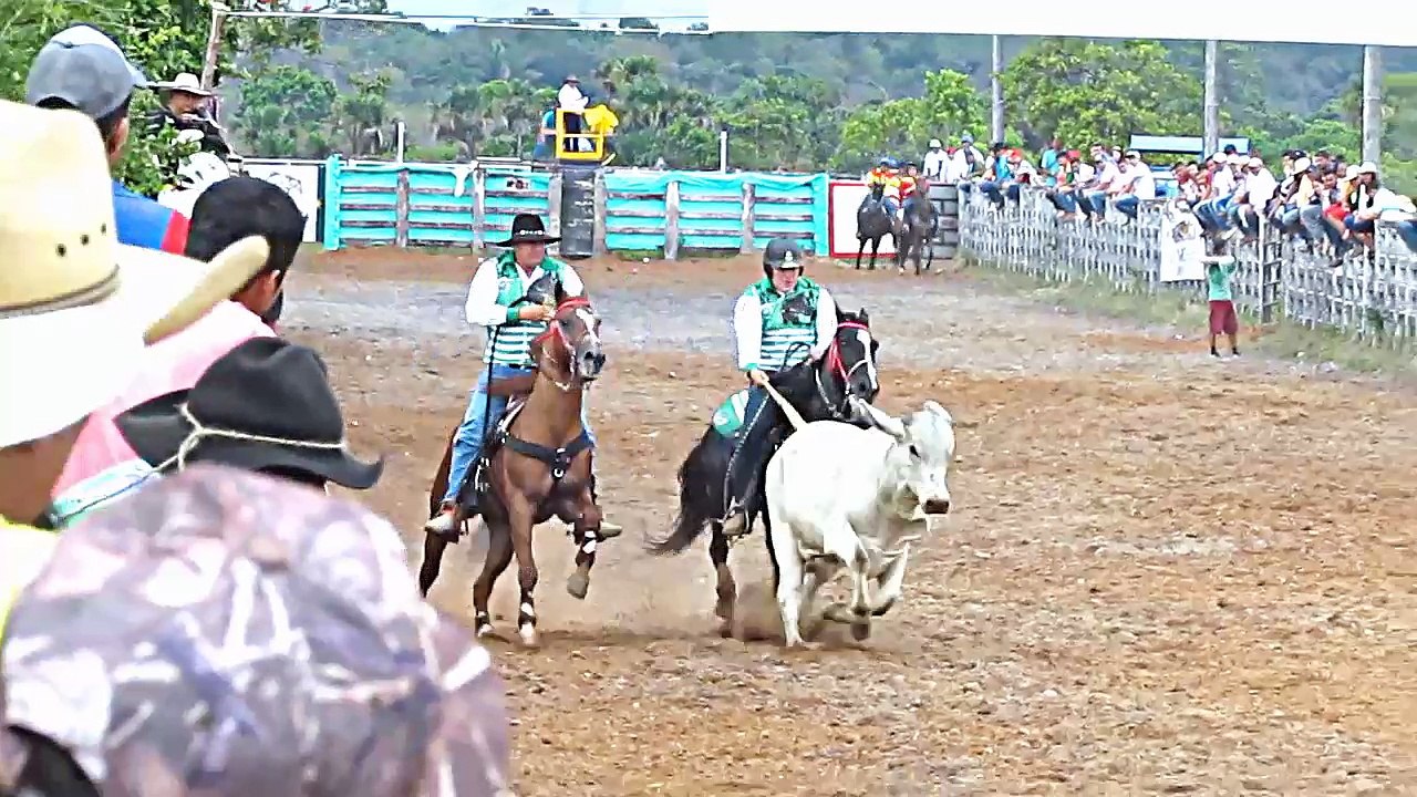 NACIONAL DE COLEO