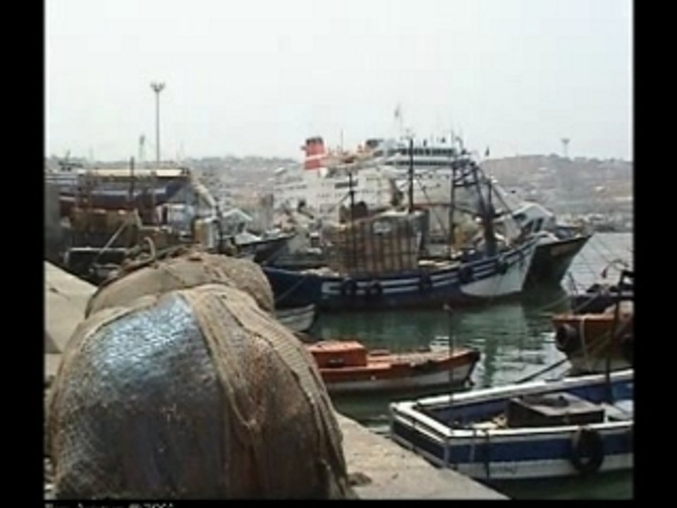 reda taliani