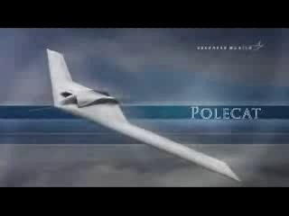 Polecat UAV
