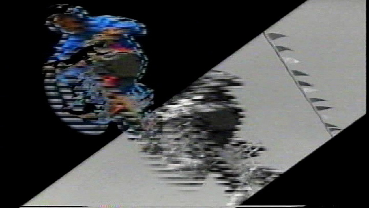 BMX
