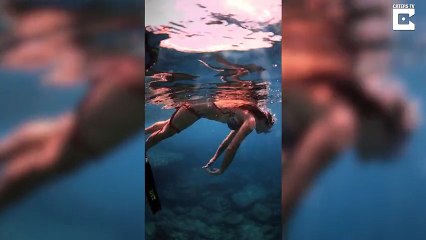 Woman Dives In The Ocean With Octopus Attached To Her Leg