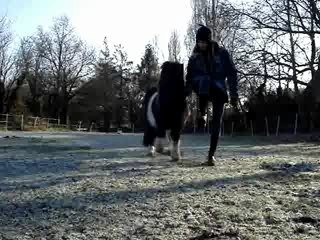 Pawnee..dressage dans le froid!