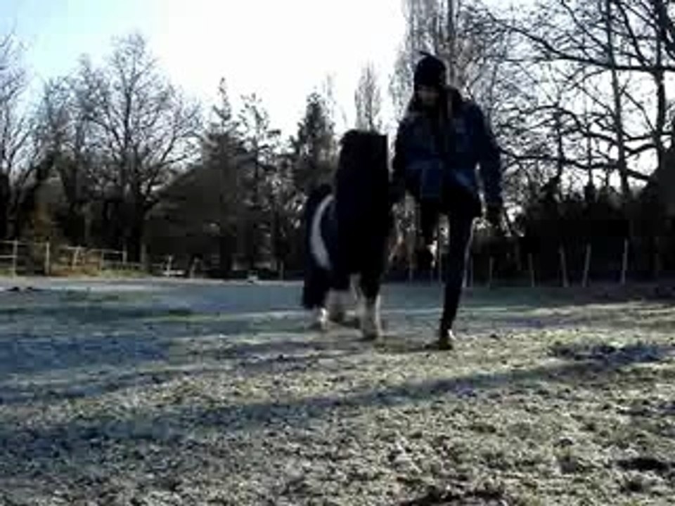 Pawnee..dressage dans le froid!