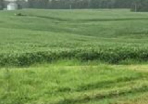 Tornado Touches Down in Southern Indiana