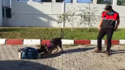 Şarj Cihazı İçinde Uyuşturucu Yakalandı