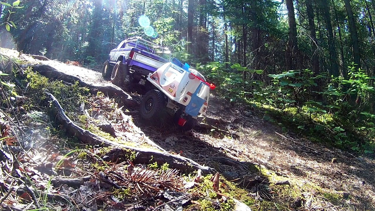 One TRX-4, two personnalities