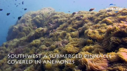 Awesome Southwest Pinnacle Koh Tao, Thailand