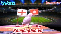 These cute animals predict the result of World Cup 2018 - Tunisia vs England Who will Win
