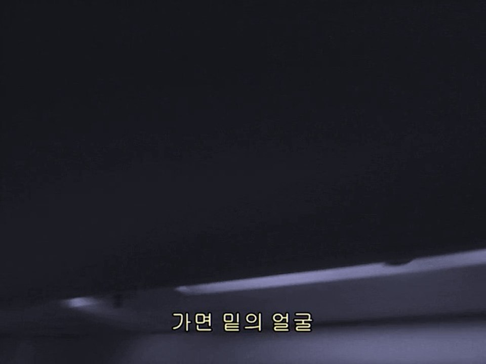장미의 행렬