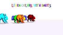 Learn Colors with Rabbit | Rabbit Videos for Kids | Different Color Rabbits for Kids