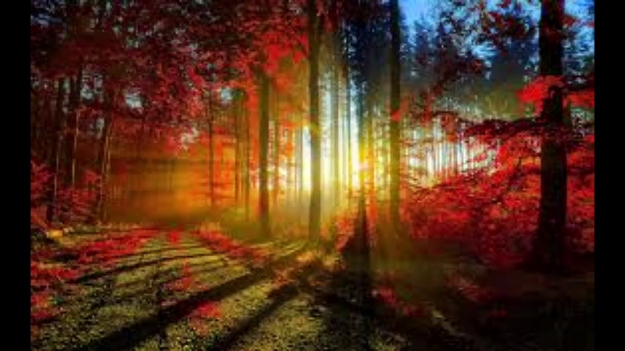TRAFFIC-   "Evening Blue".....    performed by Jerome Patrick Dyckhoff