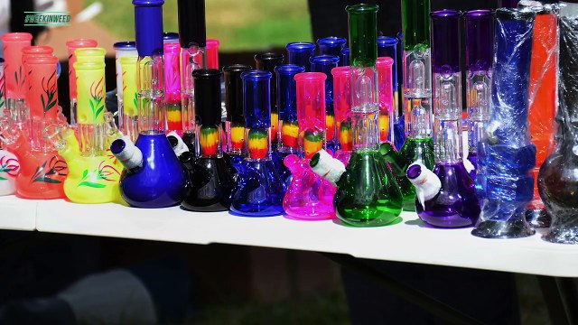 This Week in Weed: Pot Grinder Grounds Plane and Cannabis-Enhanced Airbnb