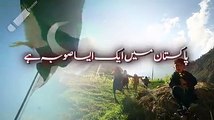 یہ ہے وہ پاکستان جس کا وعدہ کپتان نے کیا تھا !اب صرف عمران خان ، بلے پر نشان !#IK18