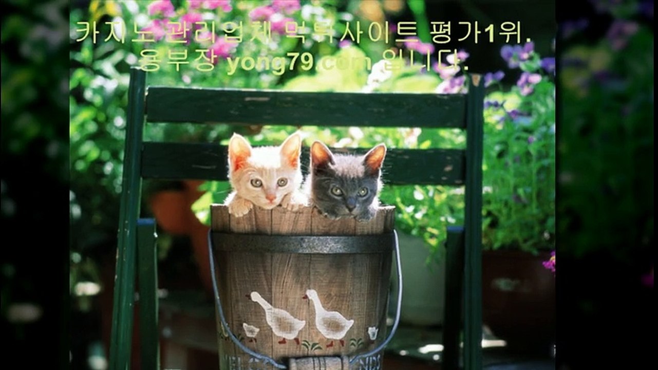 배트맨 ▧【【 yong79。ＣOM 】】▧ 슈퍼카지노