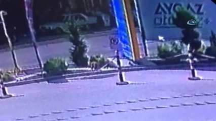 Köpeği Çalan Hırsız Güvenlik Kameralarını Hesaba Katmadı