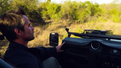 Wild Hyena Cubs | The Lion Whisperer